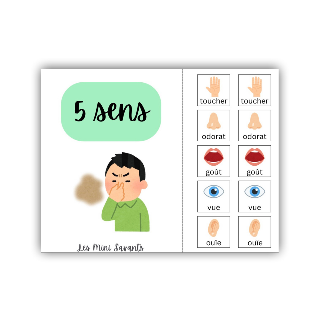 interactif - 5 sens
