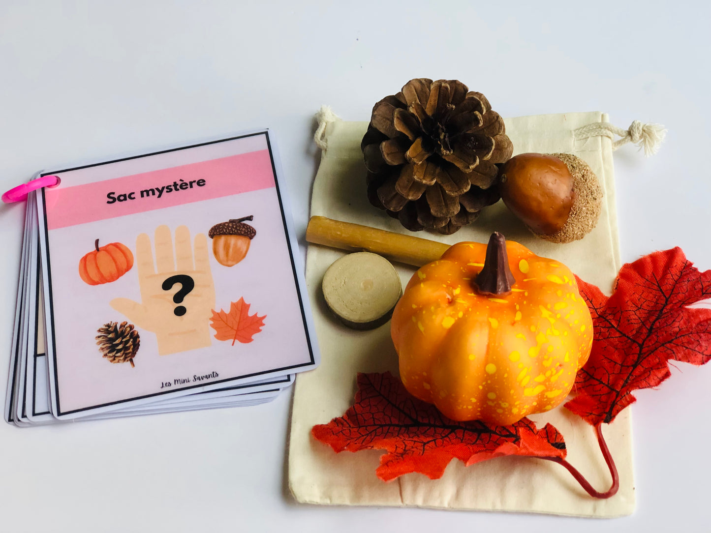 ateliers - AUTOMNE