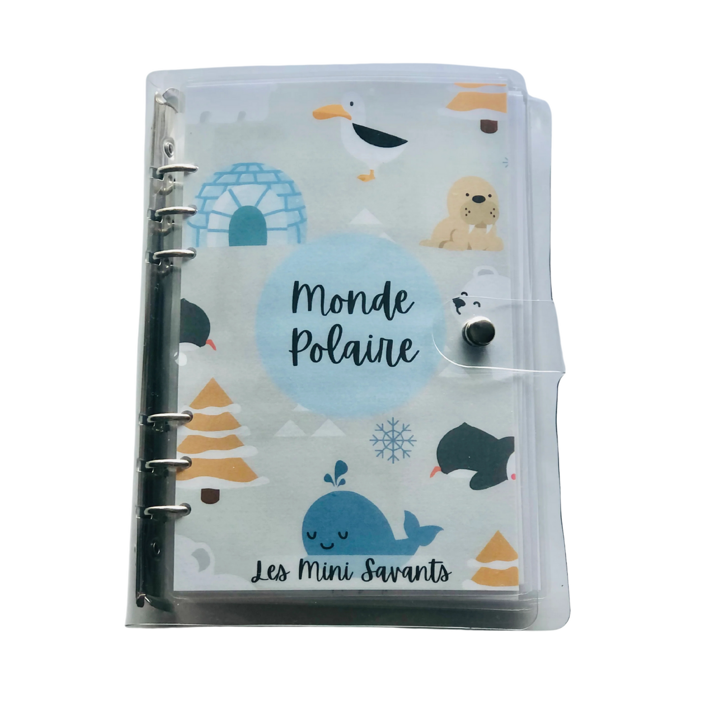 busy book - MONDE POLAIRE