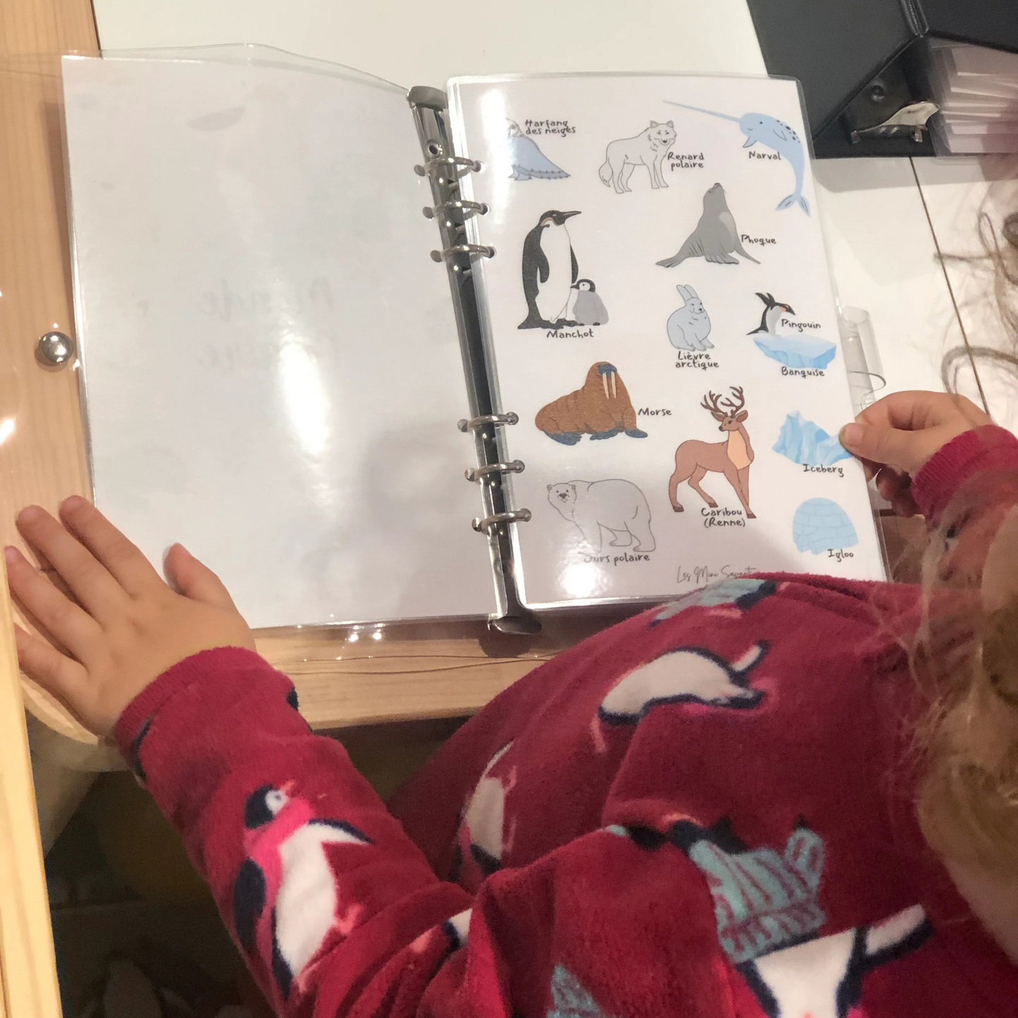 busy book - MONDE POLAIRE