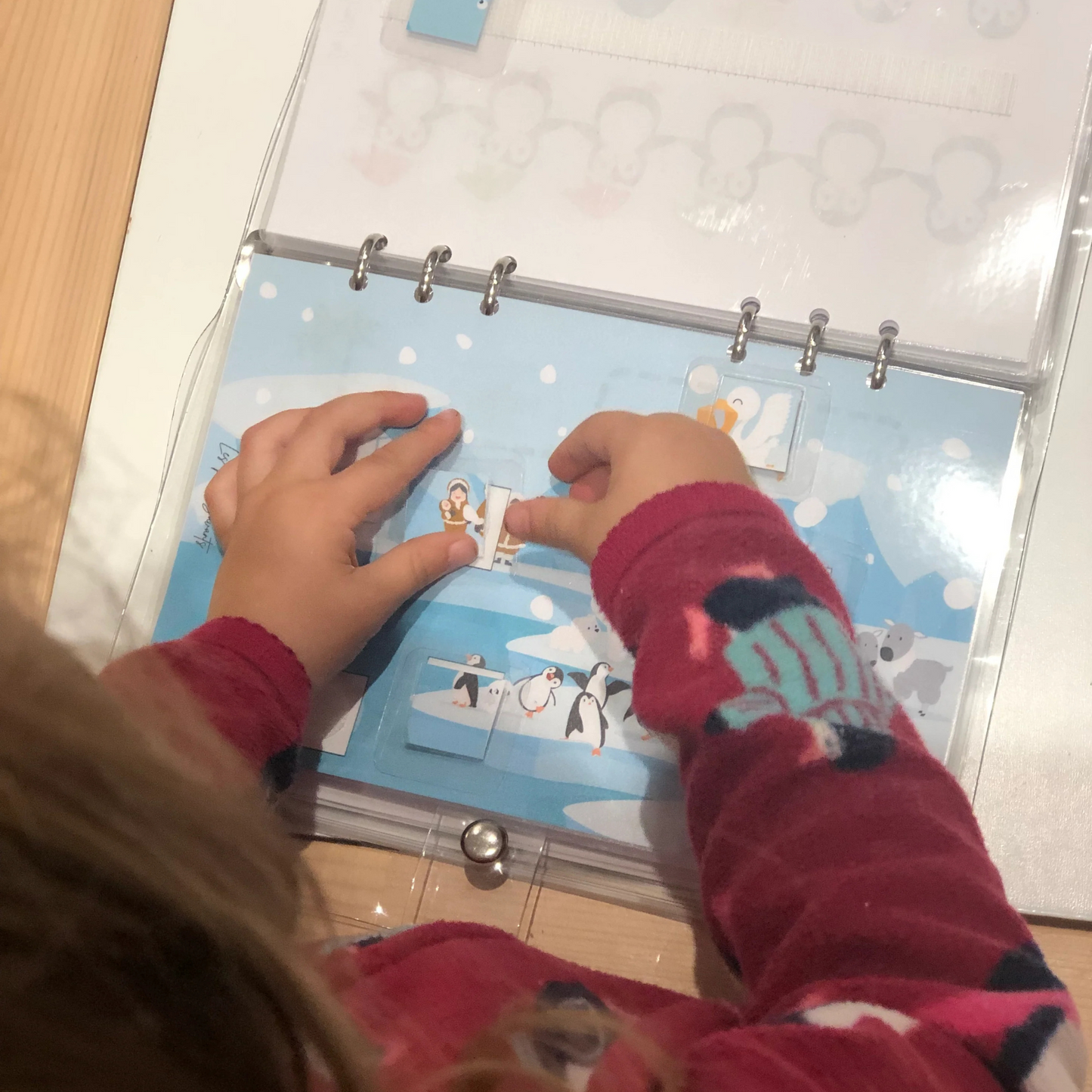 busy book - MONDE POLAIRE