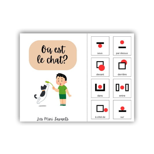 interactive - Where is the cat?