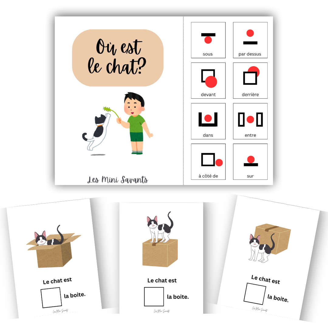 Cahiers interactifs (PDF)