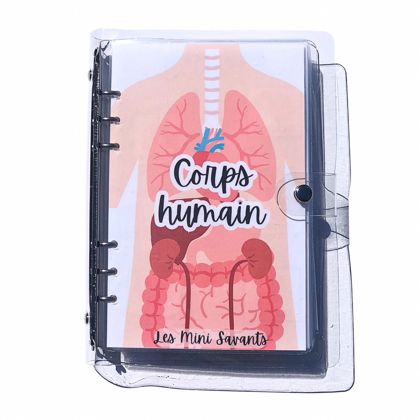 busy book - CORPS HUMAIN