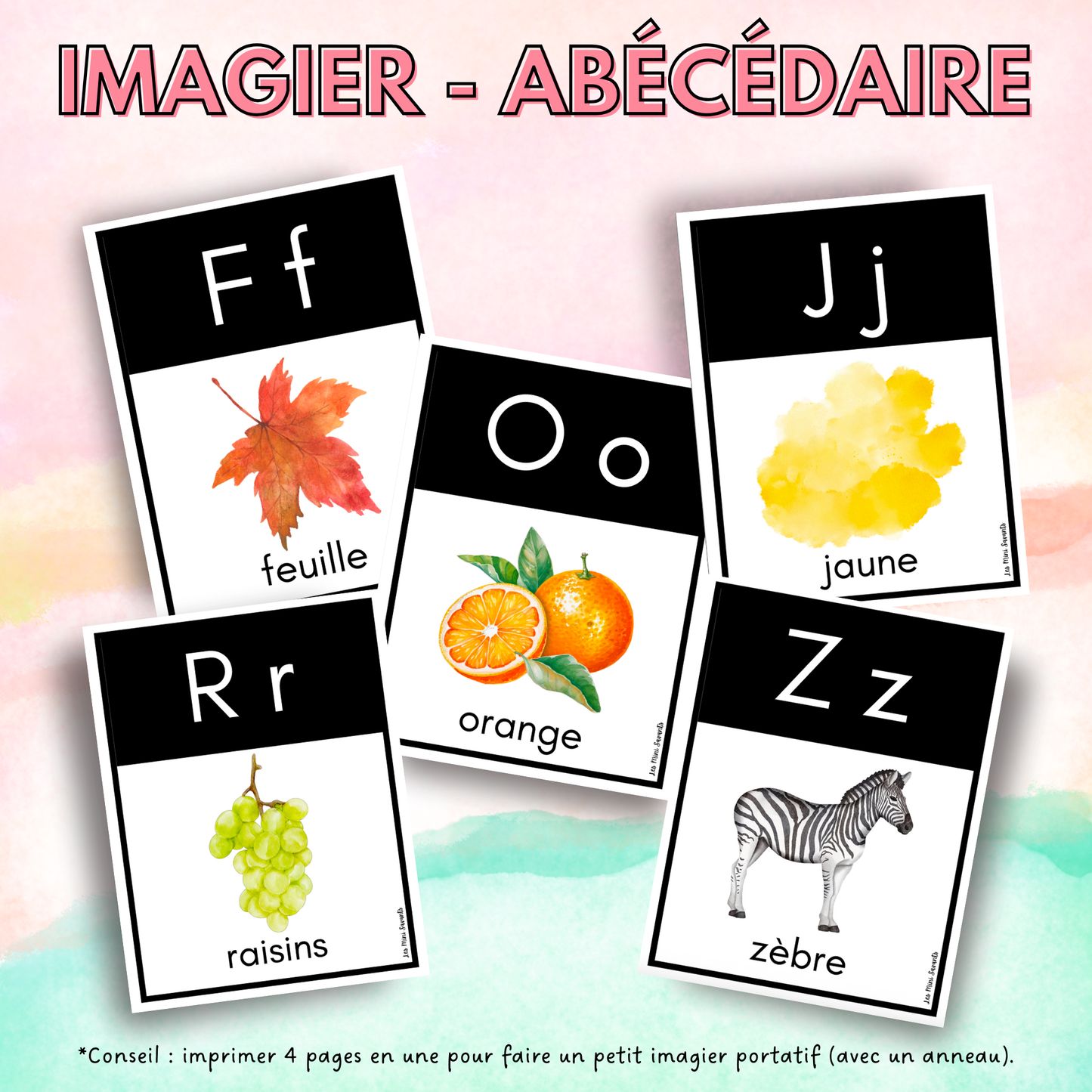 Documents PDF (digital seulement)