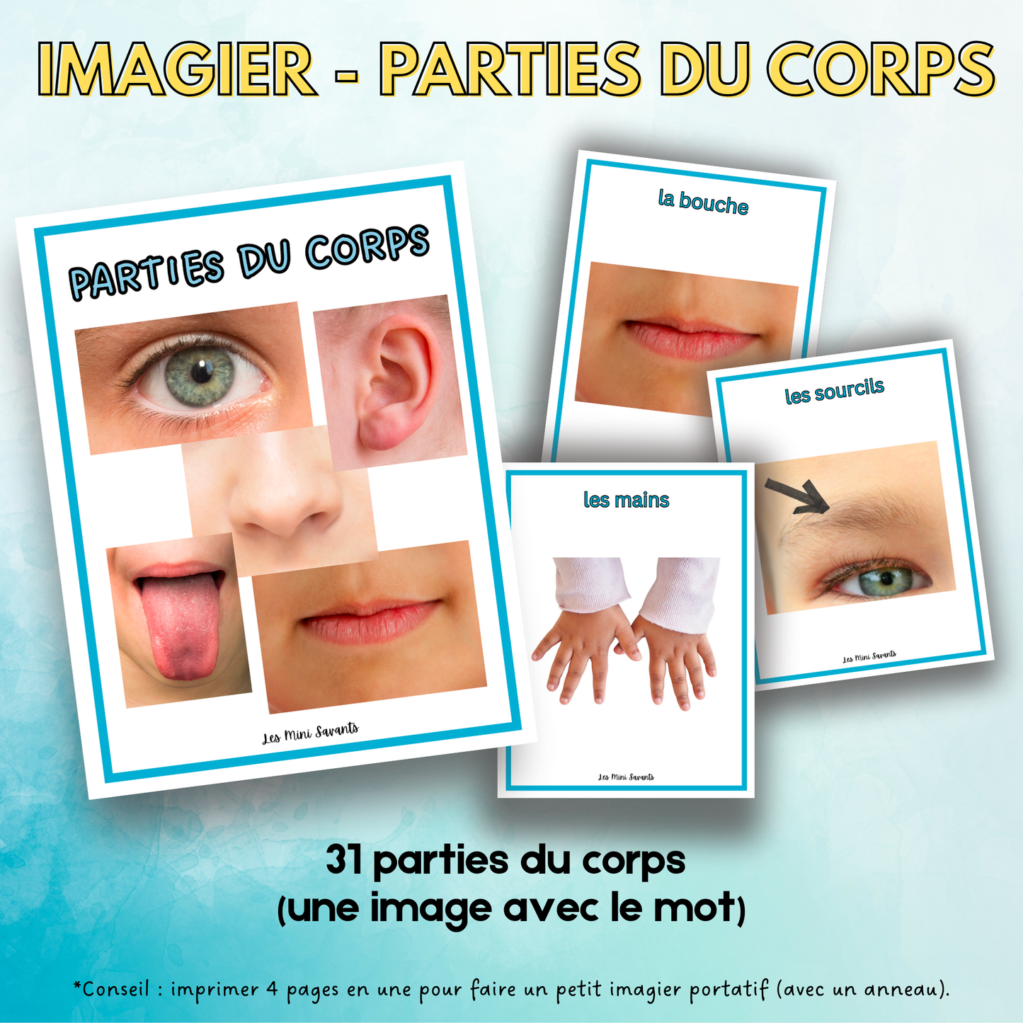 Documents PDF (digital seulement)